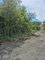 First image of Block C-lot 120 Alpine Way in Albion, St. Thomas, Jamaica - property is For Sale