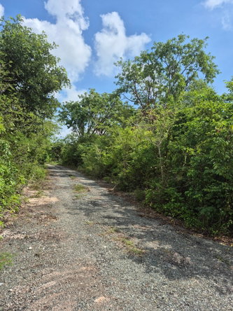 Second image of Block C-lot 120 Alpine Way in Albion, St. Thomas, Jamaica - property is For Sale