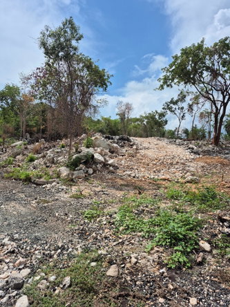 Fourth image of Block C-lot 120 Alpine Way in Albion, St. Thomas, Jamaica - property is For Sale