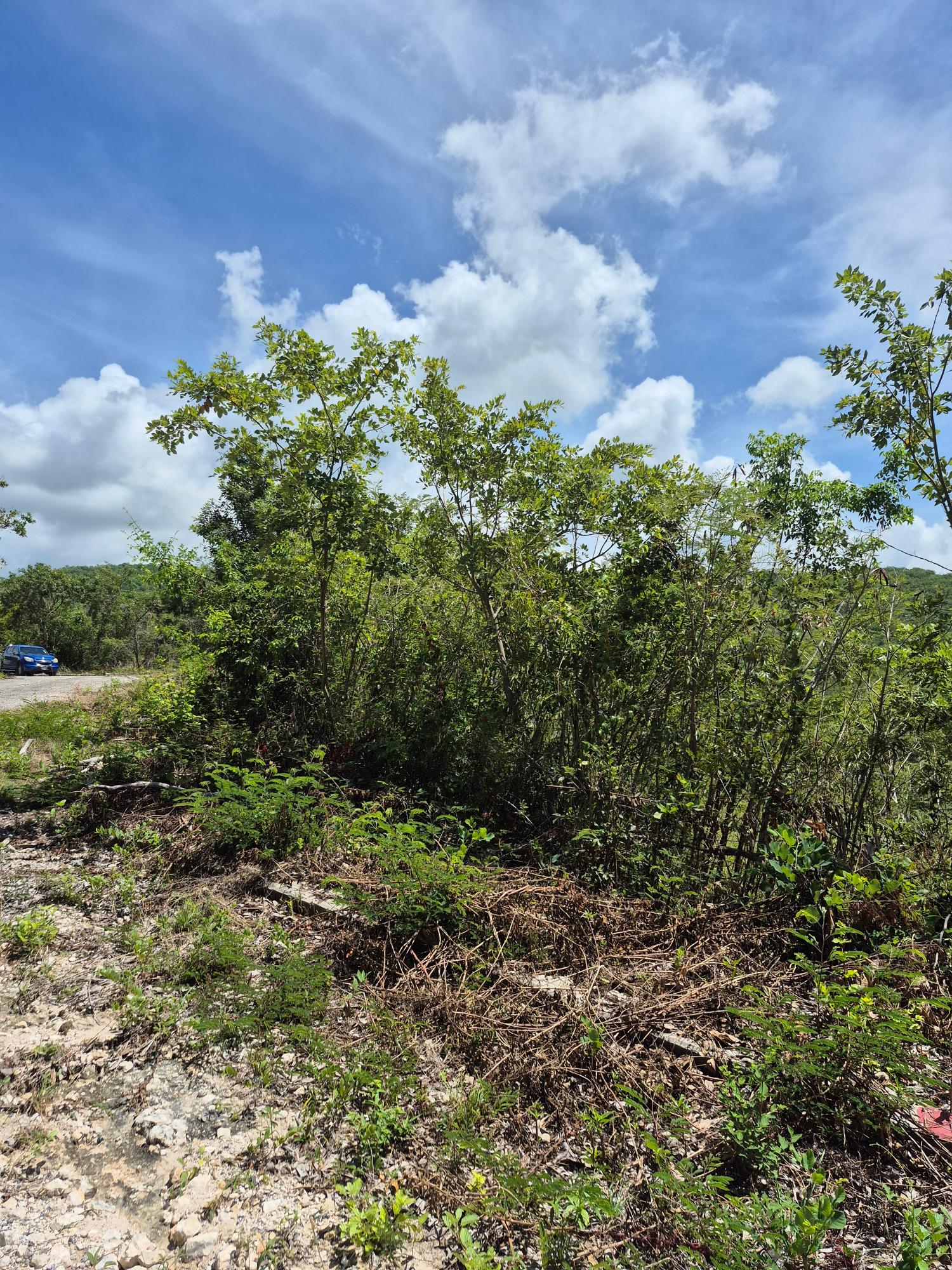Fifth image of Block A-lot 98 Santa Cruz Road in Albion, St. Thomas, Jamaica - property is For Sale