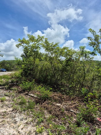 Fifth image of Block A-lot 98 Santa Cruz Road in Albion, St. Thomas, Jamaica - property is For Sale