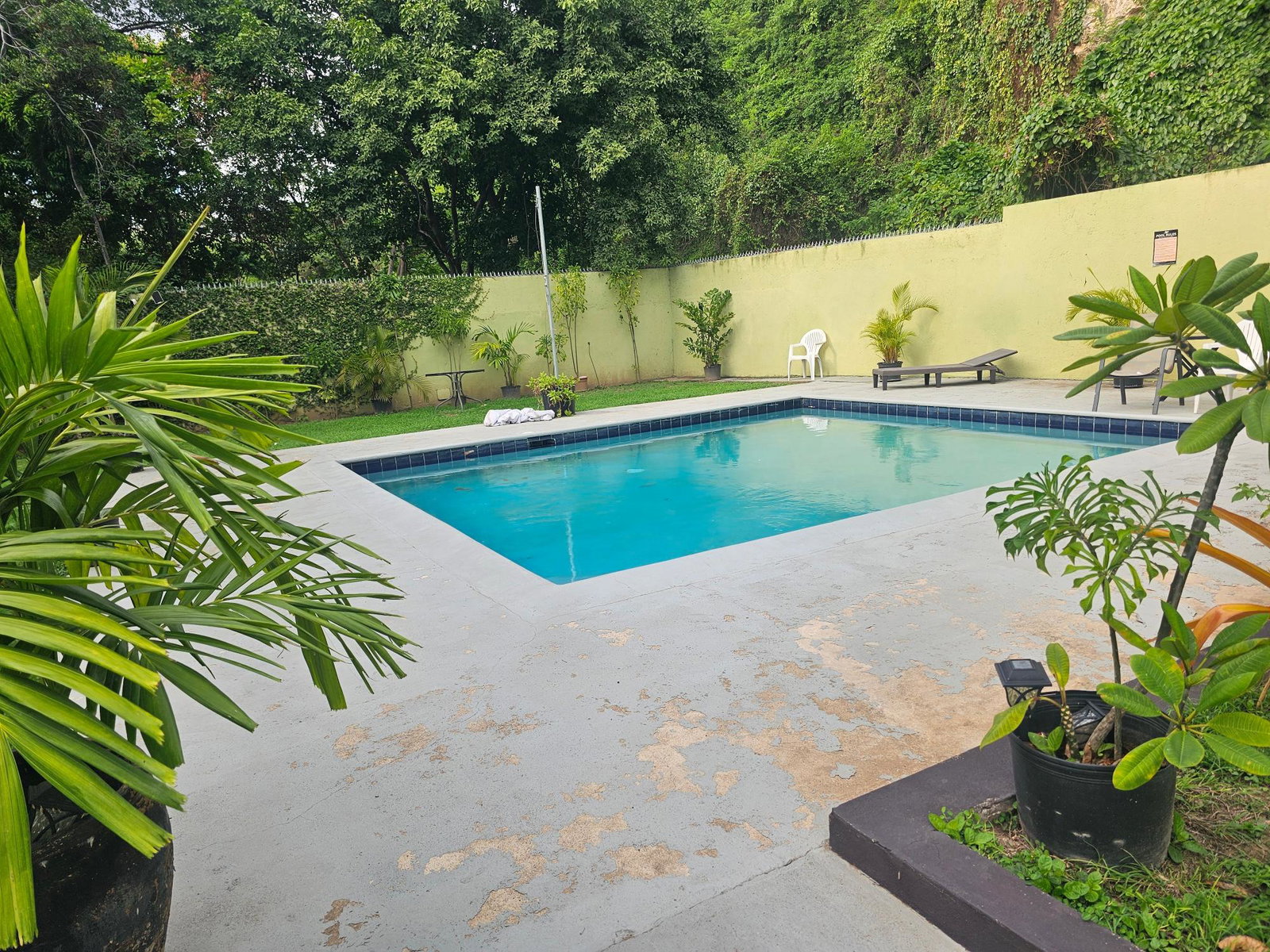 Thirteenth image of 20-96 1/2 Old Hope Road in Kingston 6, St. Andrew, Jamaica - property is For Rent