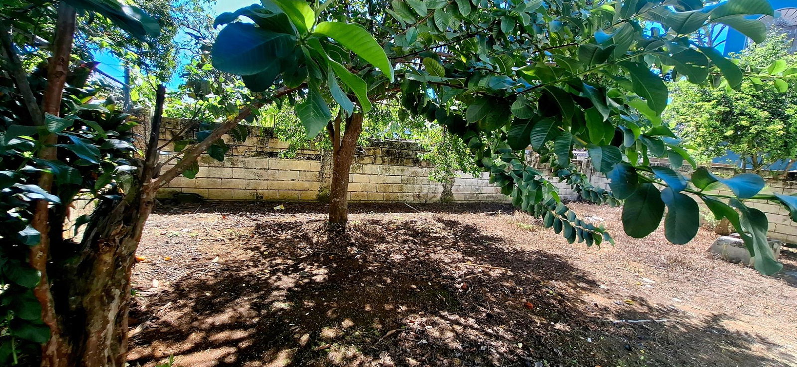 Seventeenth image of 420 Llandilo in Llandilo, Westmoreland, Jamaica - property is For Sale