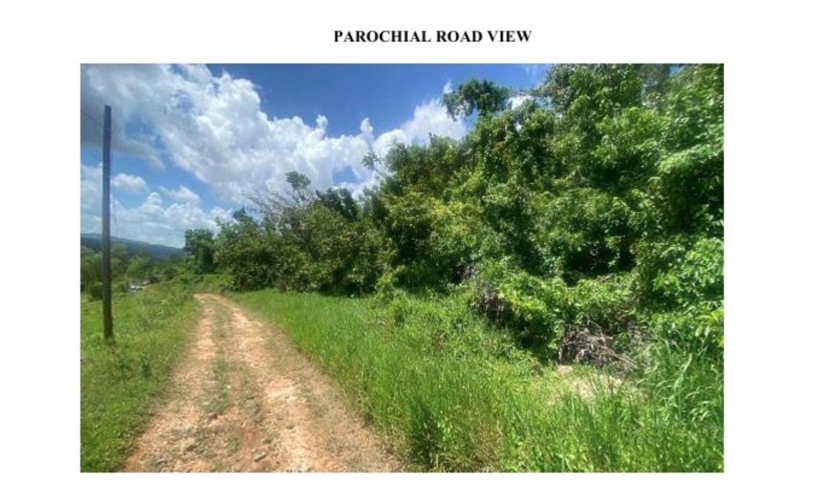 First image of Lot #1 Brumalia, Mandeville in Mandeville, Manchester, Jamaica - property is For Sale