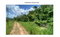 First image of Lot #1 Brumalia, Mandeville in Mandeville, Manchester, Jamaica - property is For Sale