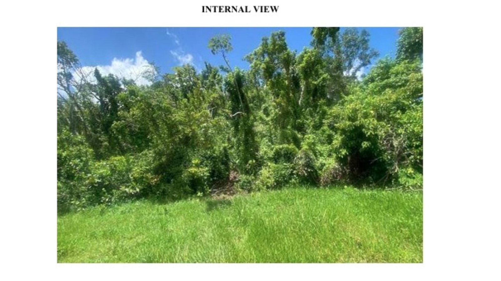 Second image of Lot #1 Brumalia, Mandeville in Mandeville, Manchester, Jamaica - property is For Sale