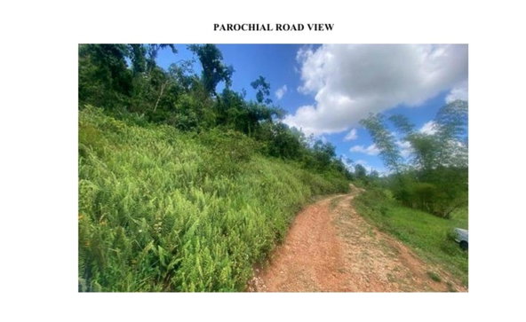 Third image of Lot #1 Brumalia, Mandeville in Mandeville, Manchester, Jamaica - property is For Sale