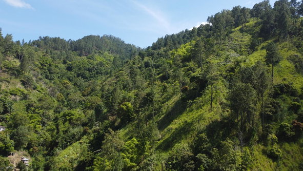 First image of Essex in Mavis Bank P.O., St. Andrew, Jamaica - property is For Sale