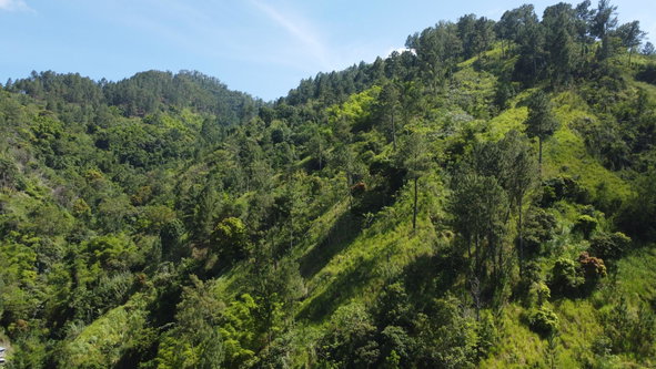 Second image of Essex in Mavis Bank P.O., St. Andrew, Jamaica - property is For Sale
