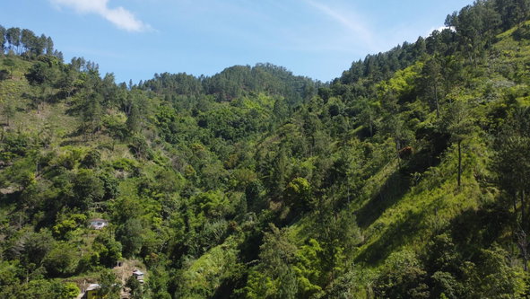 Third image of Essex in Mavis Bank P.O., St. Andrew, Jamaica - property is For Sale