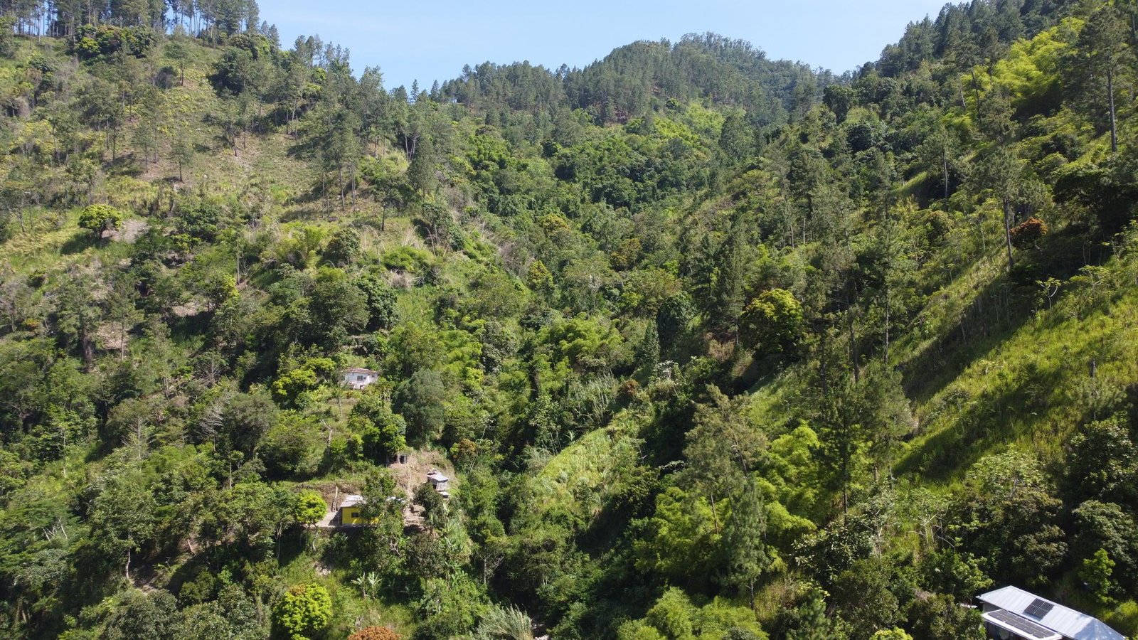Fourth image of Essex in Mavis Bank P.O., St. Andrew, Jamaica - property is For Sale