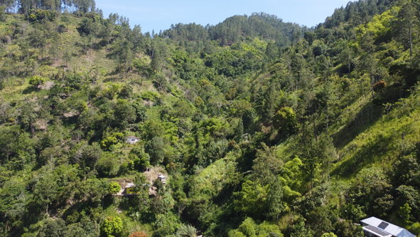 Fourth image of Essex in Mavis Bank P.O., St. Andrew, Jamaica - property is For Sale