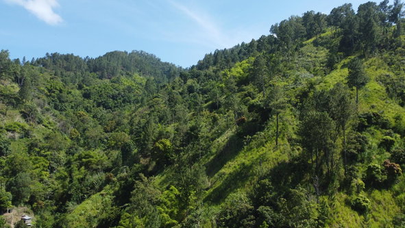 Sixth image of Essex in Mavis Bank P.O., St. Andrew, Jamaica - property is For Sale