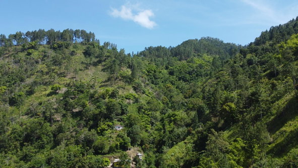 Seventh image of Essex in Mavis Bank P.O., St. Andrew, Jamaica - property is For Sale