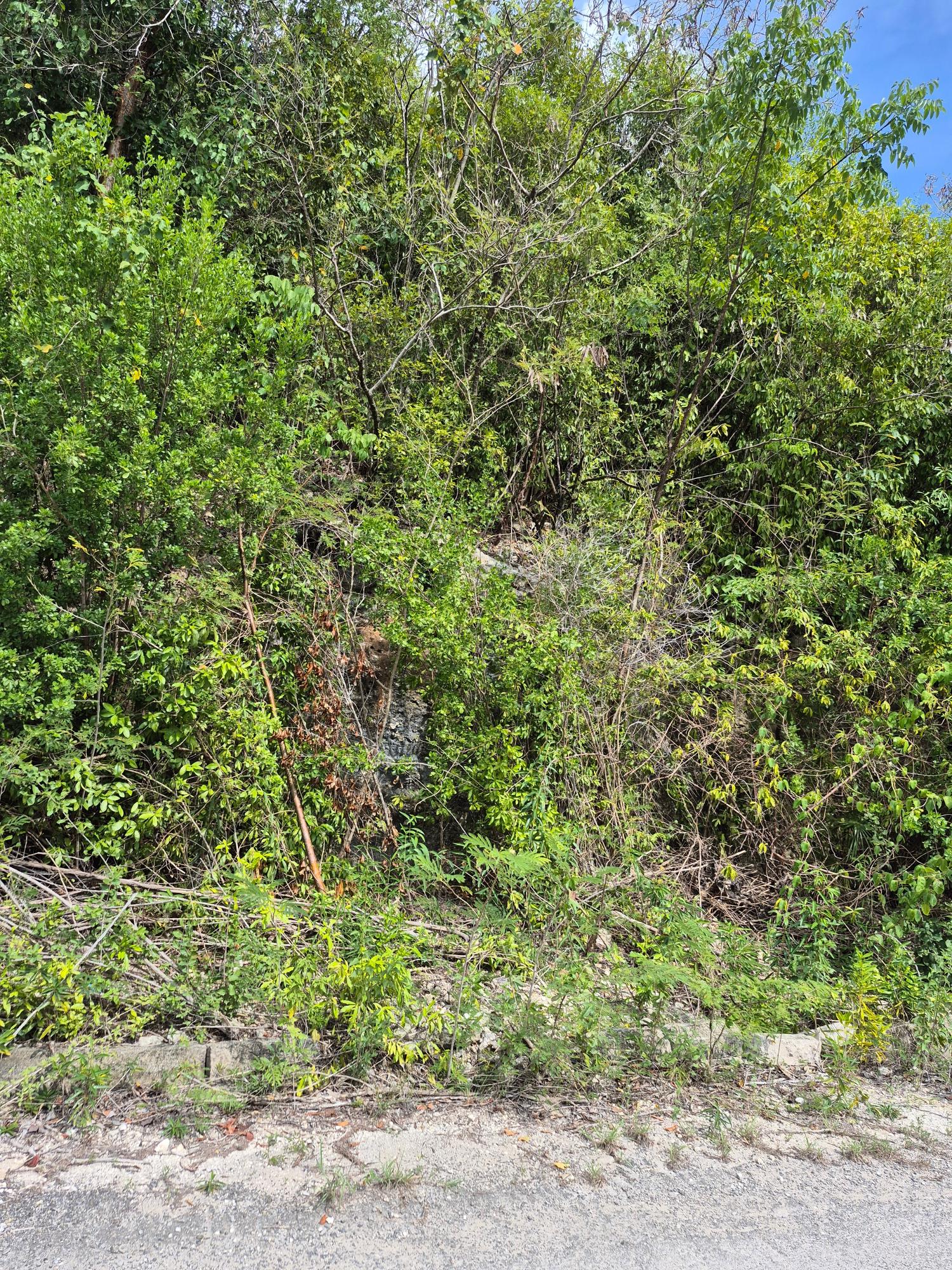 Fourth image of Block D-lot 122 Albion Heights Boulevard in Albion, St. Thomas, Jamaica - property is For Sale