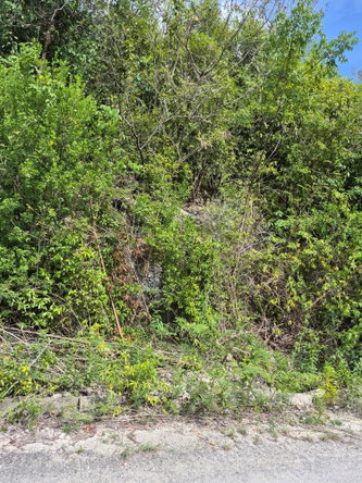 Fourth image of Block D-lot 122 Albion Heights Boulevard in Albion, St. Thomas, Jamaica - property is For Sale