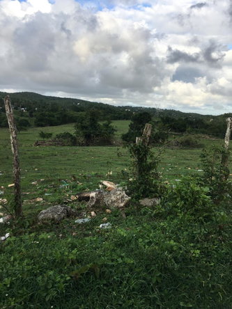 Twelfth image of Tower Hill, Watchwell P.a in Watchwell, St. Elizabeth, Jamaica - property is For Sale