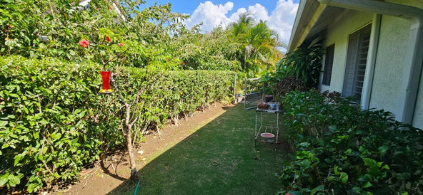 Sixth image of 582 Bamboo Avenue, Coolshade, in Laughlands, St. Ann, Jamaica - property is For Sale