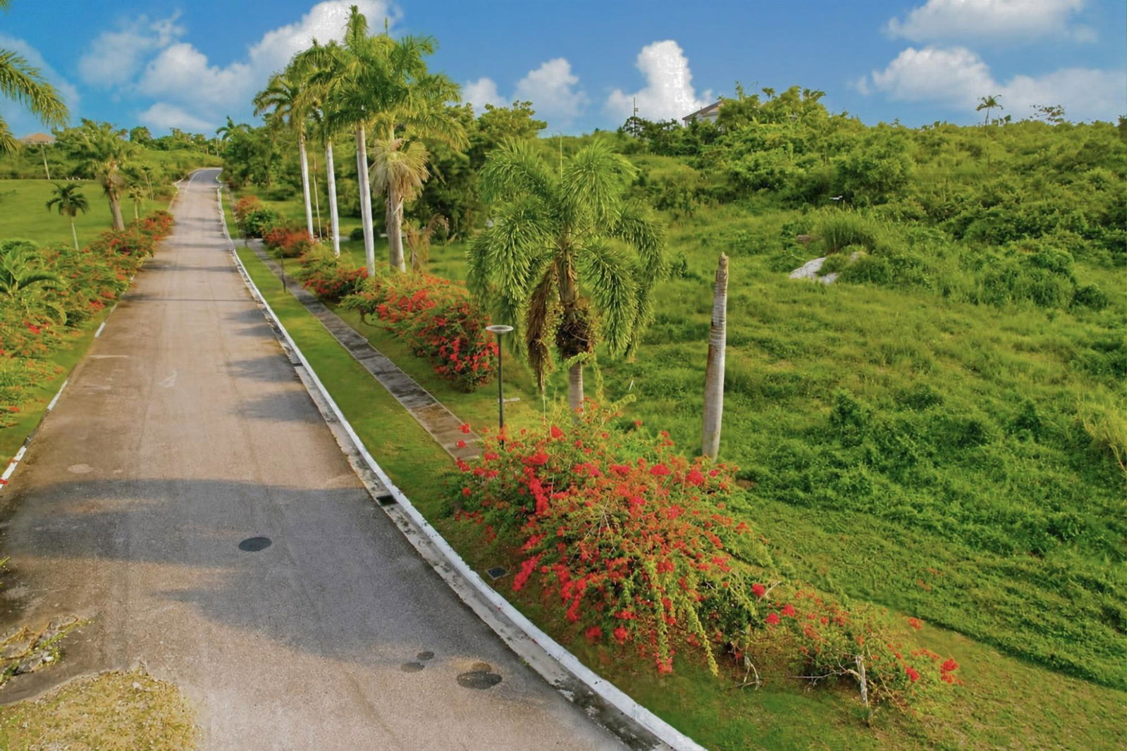 Tenth image of Negril Estate in Negril, Westmoreland, Jamaica - property is For Sale