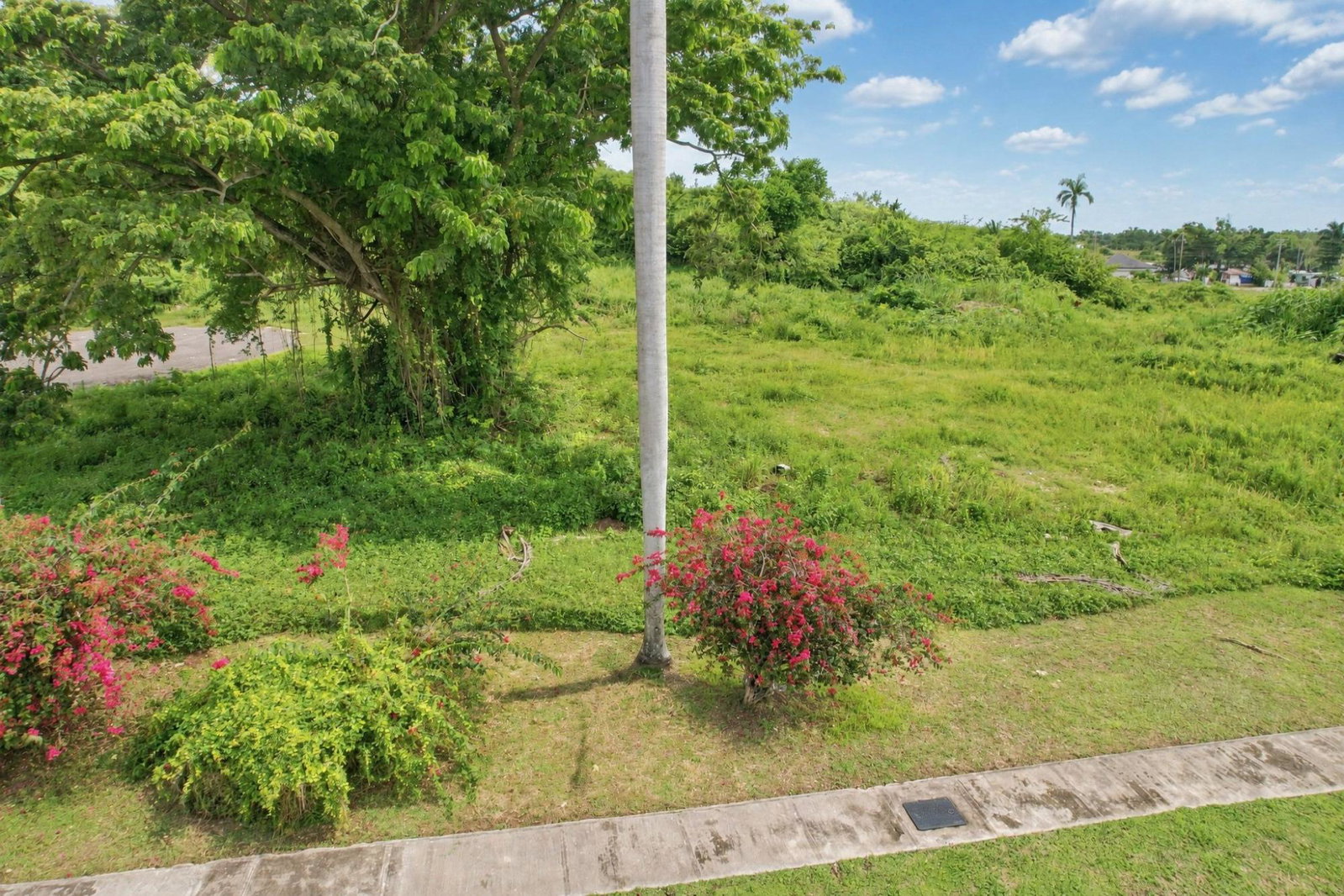 Fourth image of Negril Estate in Negril, Westmoreland, Jamaica - property is For Sale