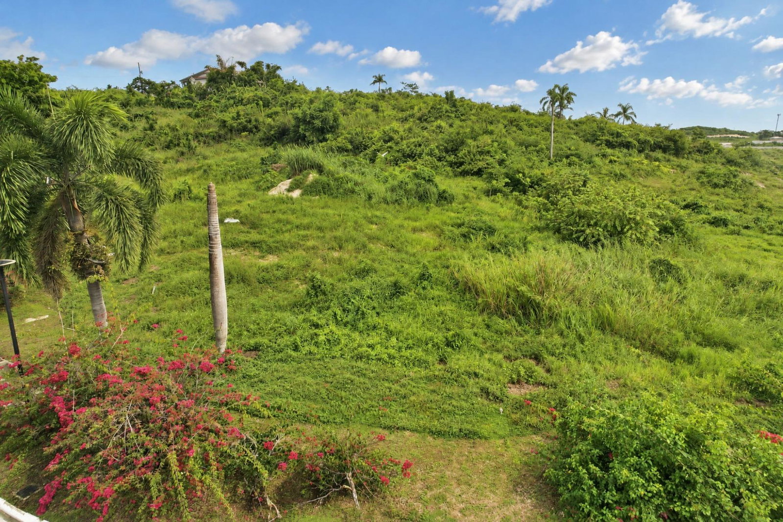 Fifth image of Negril Estate in Negril, Westmoreland, Jamaica - property is For Sale