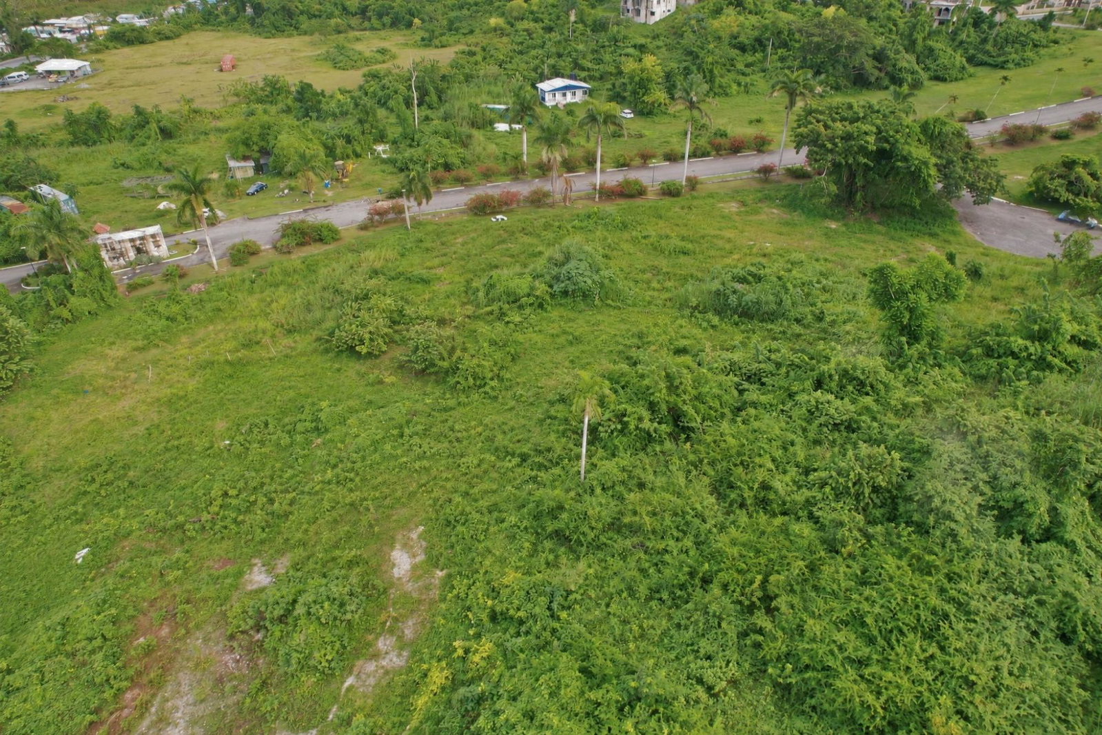 Eighth image of Negril Estate in Negril, Westmoreland, Jamaica - property is For Sale