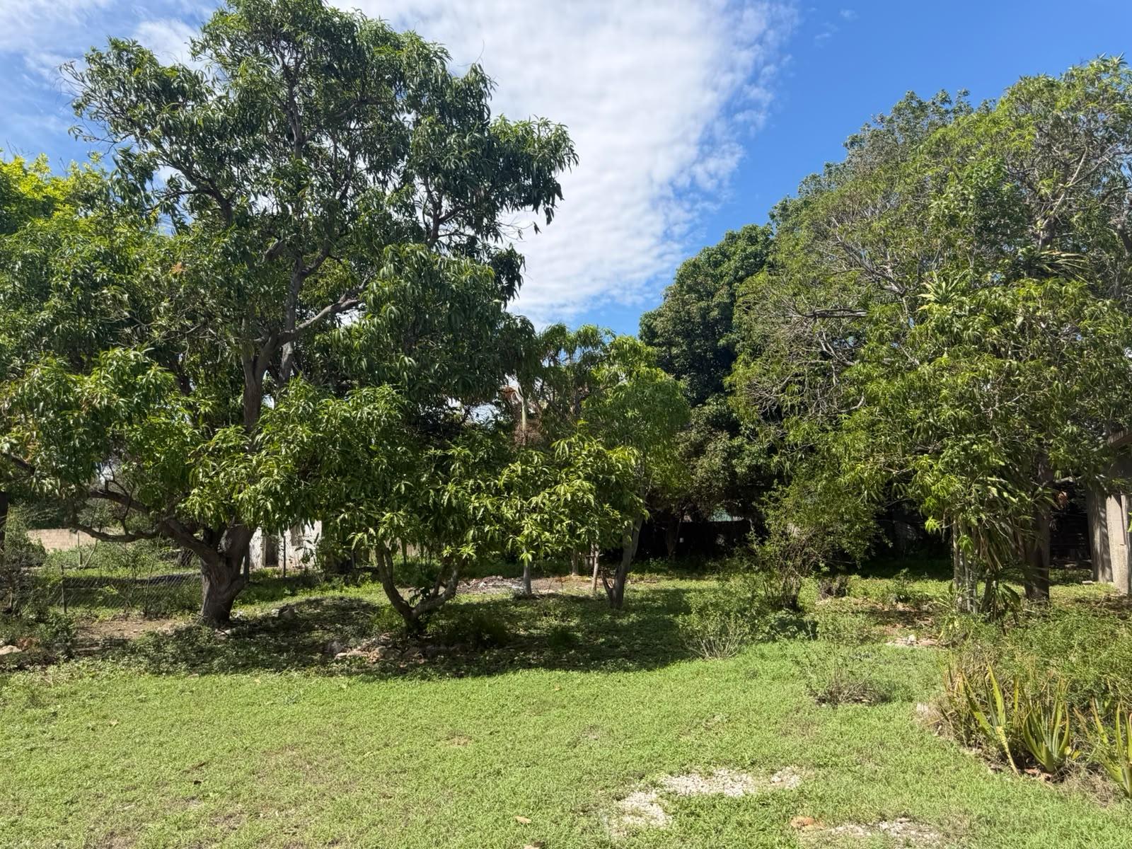 Thirtieth image of 21 Silveria Drive in Spanish Town, St. Catherine, Jamaica - property is For Rent