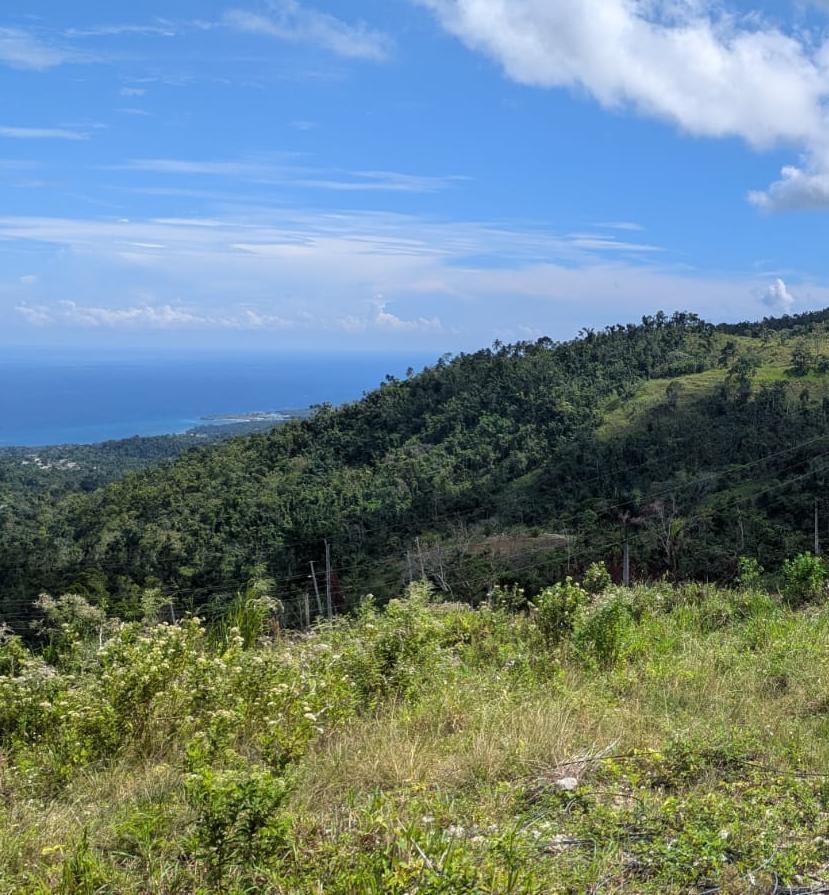 Sixth image of Lot 13 Seacool Heights, Wakefiel in Bamboo, St. Ann, Jamaica - property is For Sale