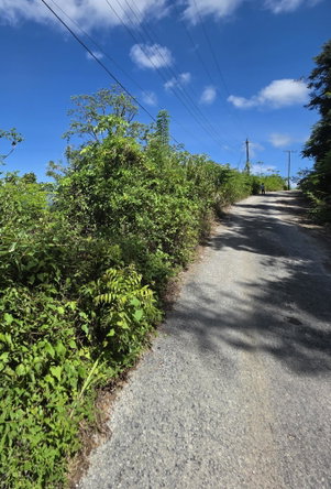 Tenth image of Lot 281a Cardiff Hall Plantation in Runaway Bay, St. Ann, Jamaica - property is For Sale