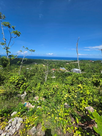 Eleventh image of Lot 281a Cardiff Hall Plantation in Runaway Bay, St. Ann, Jamaica - property is For Sale
