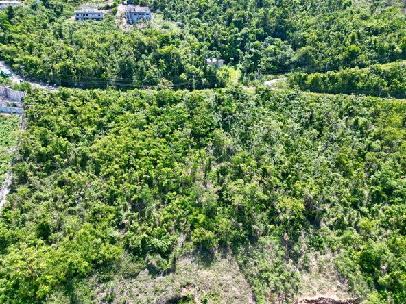 Fifth image of Lot 281a Cardiff Hall Plantation in Runaway Bay, St. Ann, Jamaica - property is For Sale