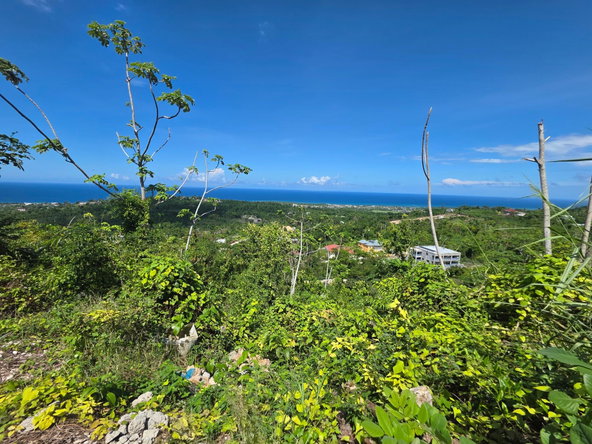 Eighth image of Lot 281a Cardiff Hall Plantation in Runaway Bay, St. Ann, Jamaica - property is For Sale