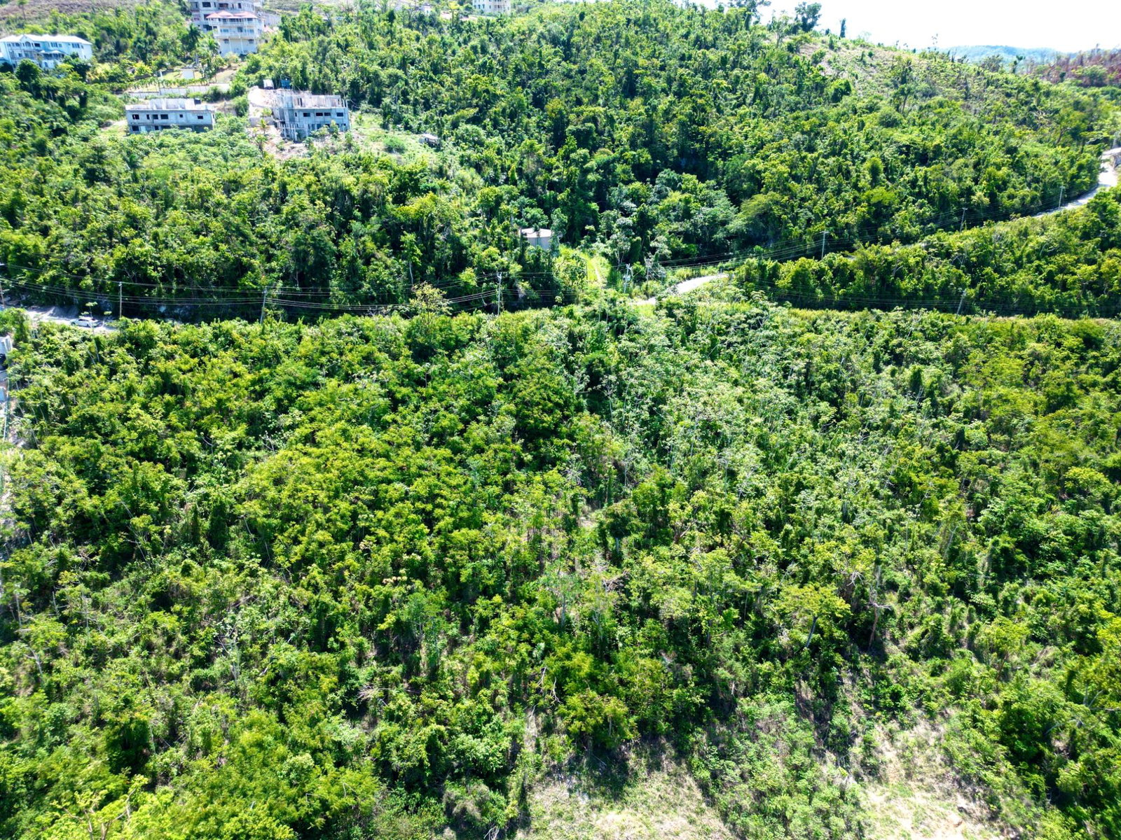 Fourth image of Lot 282b Cardiff Hall Plantation in Runaway Bay, St. Ann, Jamaica - property is For Sale