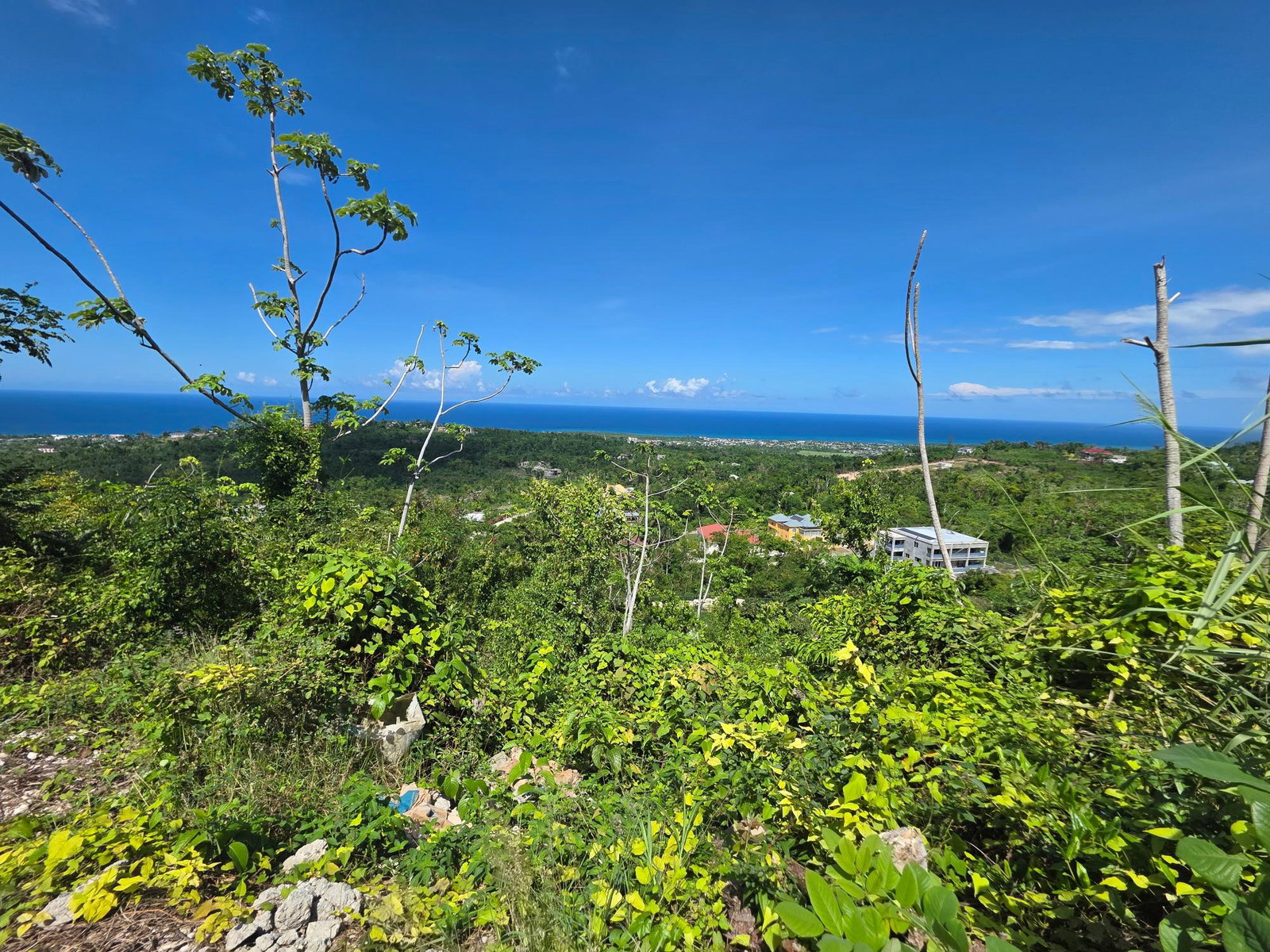 Eighth image of Lot 282b Cardiff Hall Plantation in Runaway Bay, St. Ann, Jamaica - property is For Sale