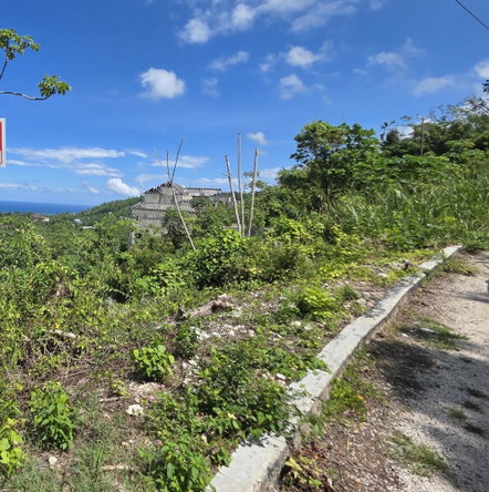 Ninth image of Lot 282b Cardiff Hall Plantation in Runaway Bay, St. Ann, Jamaica - property is For Sale