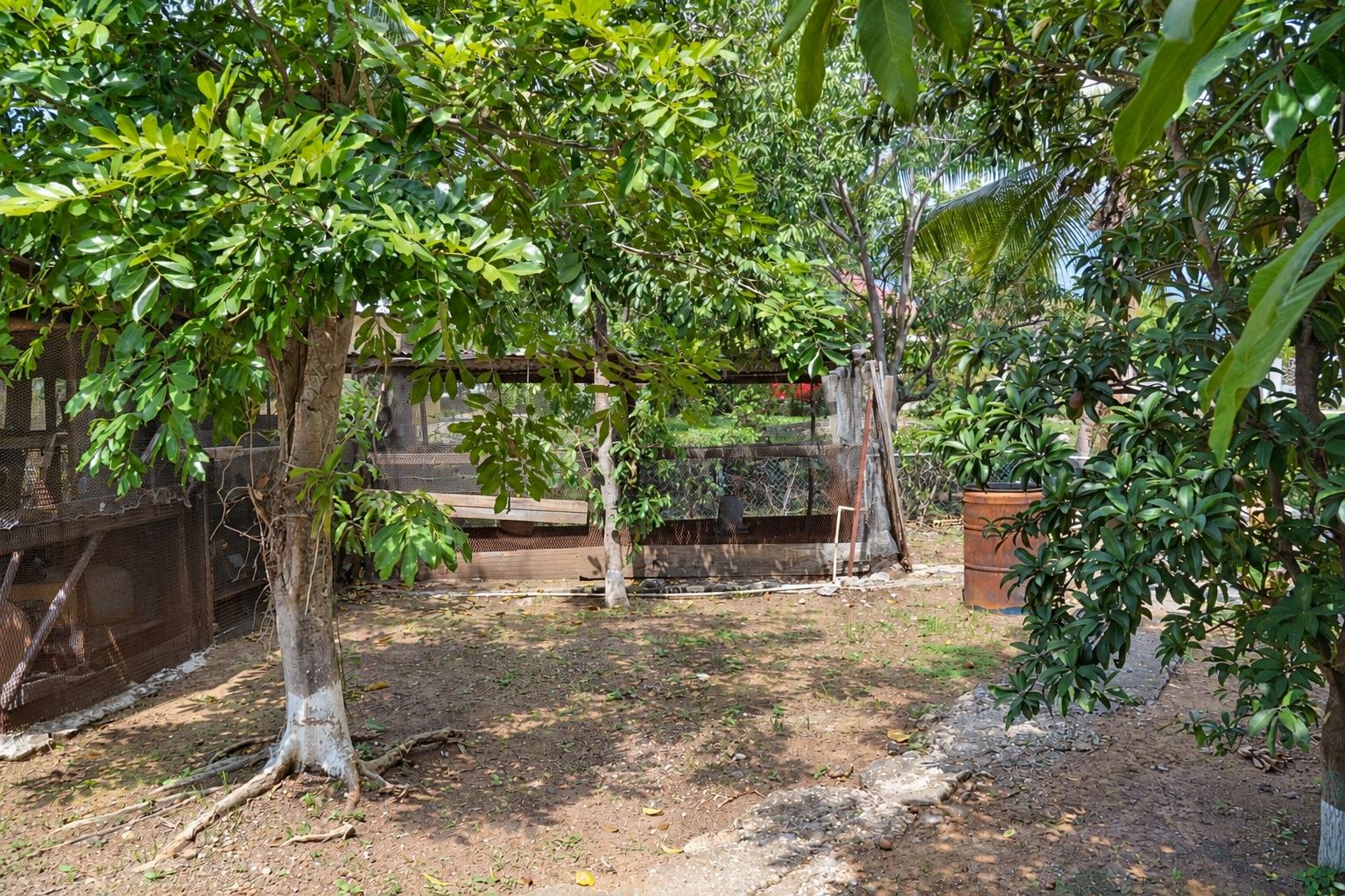 Twenty-Seventh image of 95 Circle Drive, Glenmuir he in May Pen, Clarendon, Jamaica - property is For Sale