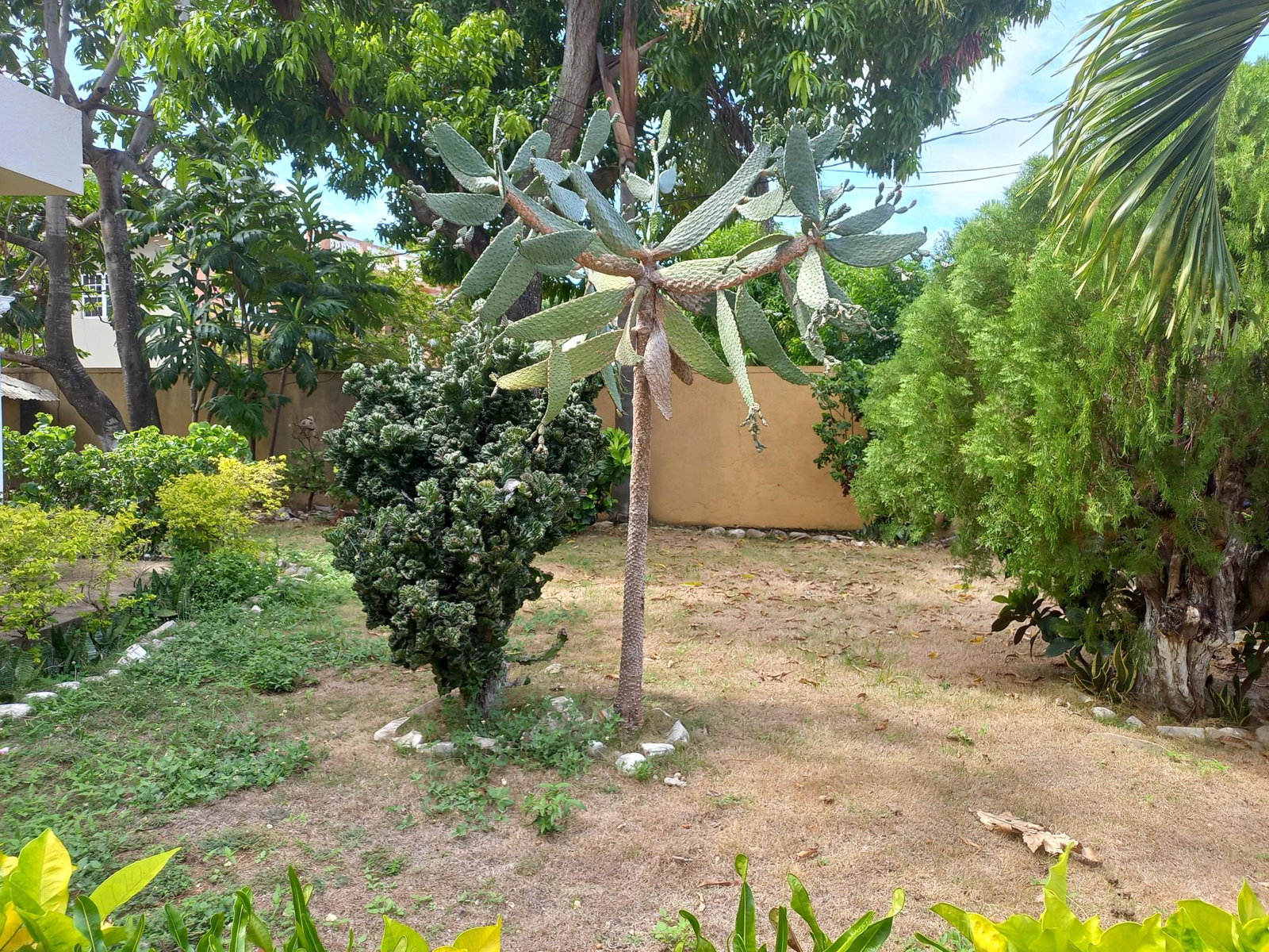 Seventeenth image of Lot 267 Ocean View dr Balmoral he in Tower Isle, St. Mary, Jamaica - property is For Sale