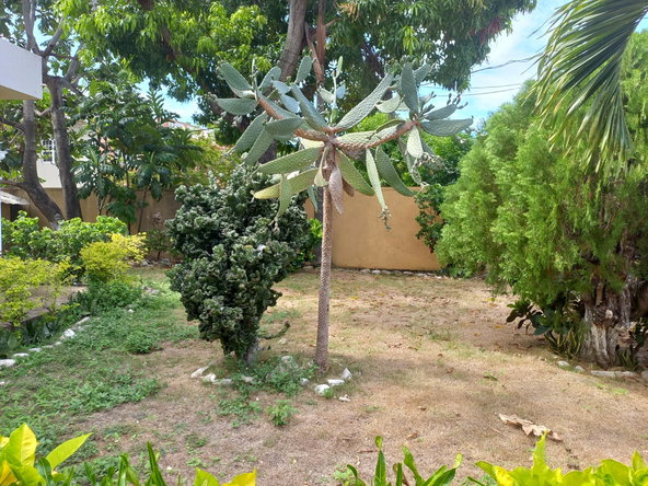 Seventeenth image of Lot 267 Ocean View dr Balmoral he in Tower Isle, St. Mary, Jamaica - property is For Sale