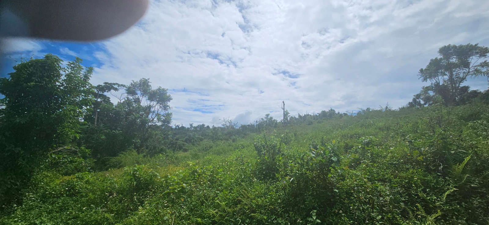 Eleventh image of Darliston in Darliston, Westmoreland, Jamaica - property is For Sale
