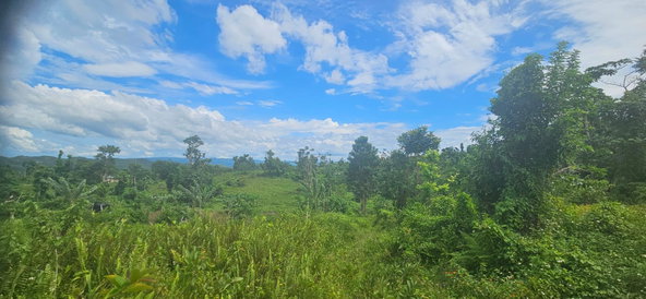 Fourteenth image of Darliston in Darliston, Westmoreland, Jamaica - property is For Sale