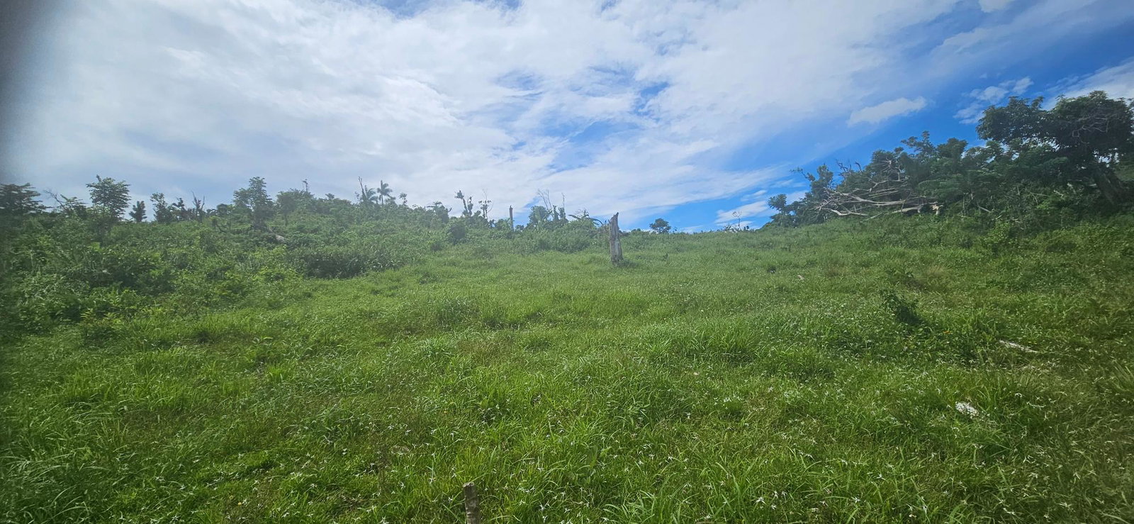 Fifteenth image of Darliston in Darliston, Westmoreland, Jamaica - property is For Sale