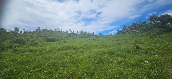 Fifteenth image of Darliston in Darliston, Westmoreland, Jamaica - property is For Sale