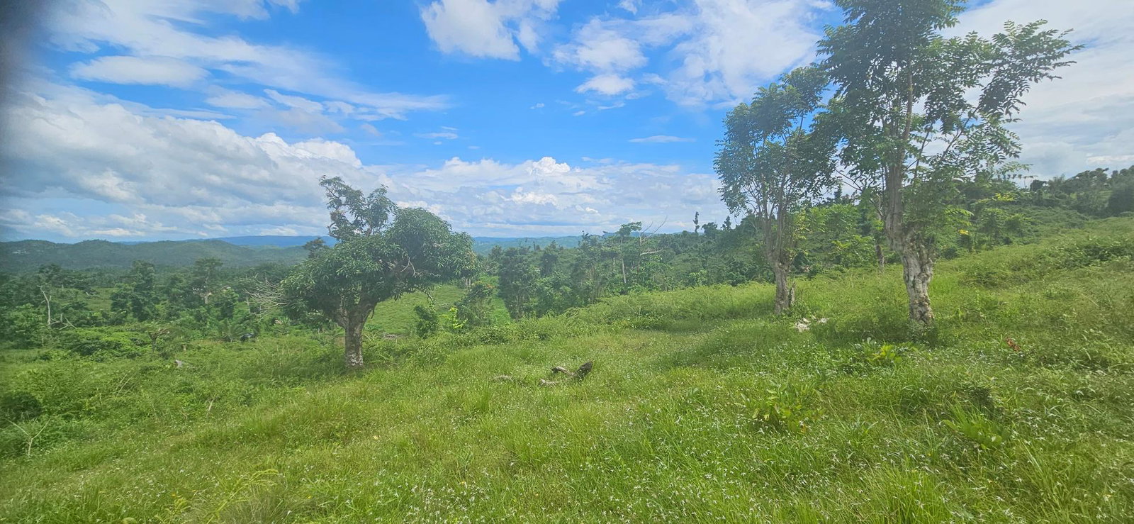 Sixteenth image of Darliston in Darliston, Westmoreland, Jamaica - property is For Sale