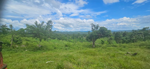 Seventeenth image of Darliston in Darliston, Westmoreland, Jamaica - property is For Sale