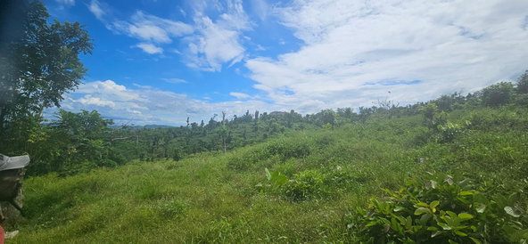 Eighteenth image of Darliston in Darliston, Westmoreland, Jamaica - property is For Sale