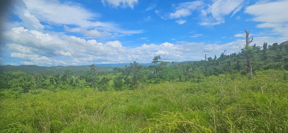 Nineteenth image of Darliston in Darliston, Westmoreland, Jamaica - property is For Sale