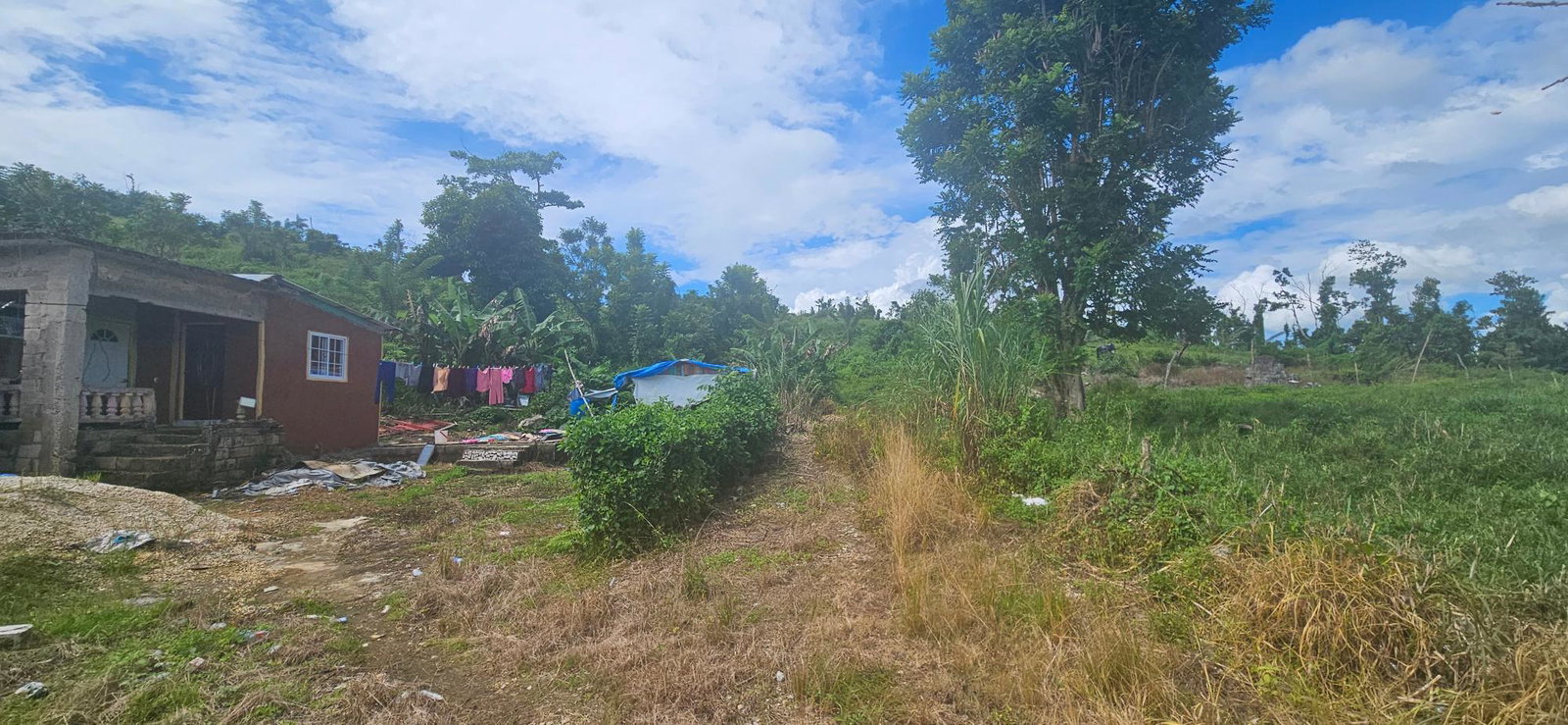 Second image of Darliston in Darliston, Westmoreland, Jamaica - property is For Sale