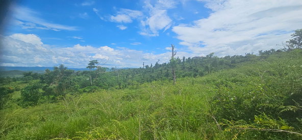 Twentieth image of Darliston in Darliston, Westmoreland, Jamaica - property is For Sale