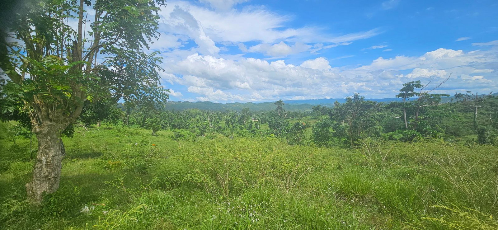 Twenty-First image of Darliston in Darliston, Westmoreland, Jamaica - property is For Sale