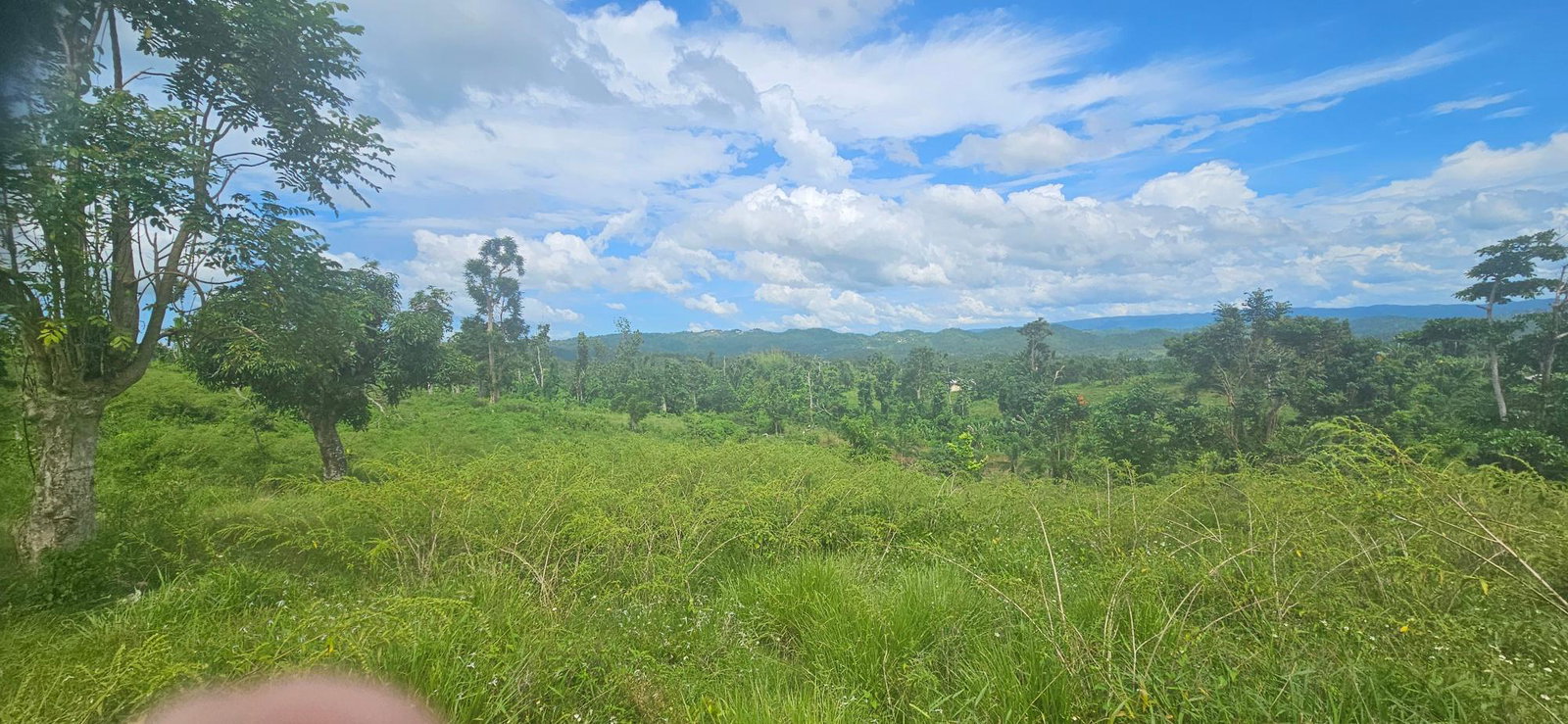 Twenty-Second image of Darliston in Darliston, Westmoreland, Jamaica - property is For Sale